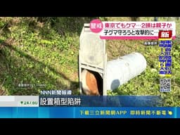東京郊區驚見"半身遺體"! 不排除熊襲啃咬  距住宅區僅1公里! 東京山區熊襲俄登山客｜三立新聞網 SETN.com