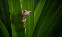 JFrog Patches Flaws Behind OpenAI Models' Escape