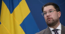 Immigration crackdown hurts Sweden Inc while right pins ...