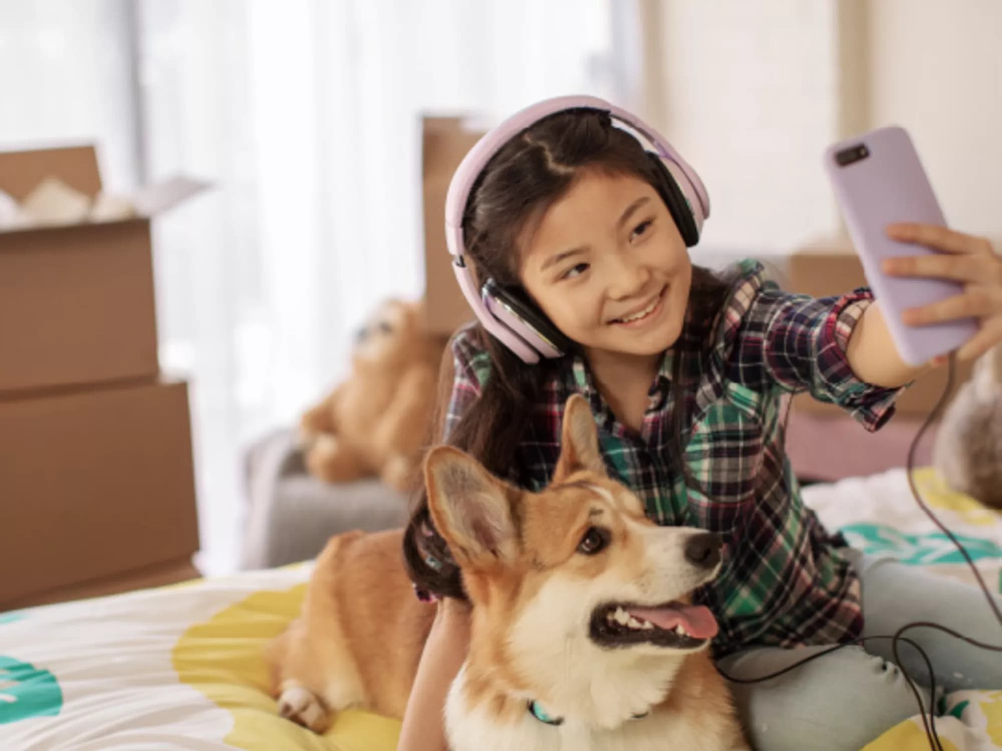 A Practical Guide for Moving with Pets