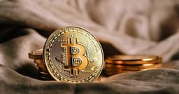 Bitcoin Treasuries Add 603 BTC Amid Strategy's Pause