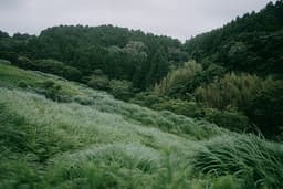 Carney launches $3.8B nature strategy to expand conservation across Canada