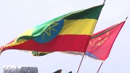 Ethiopia's Constitutional Gamble: Can Prime Minister Abiy ...