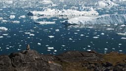 Scientists issue alarming prediction after studying strange Arctic heat wave: 'Helps determine the weather patterns that we get'