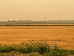 Air Quality Alert Issued For Long Island Again On Friday ...