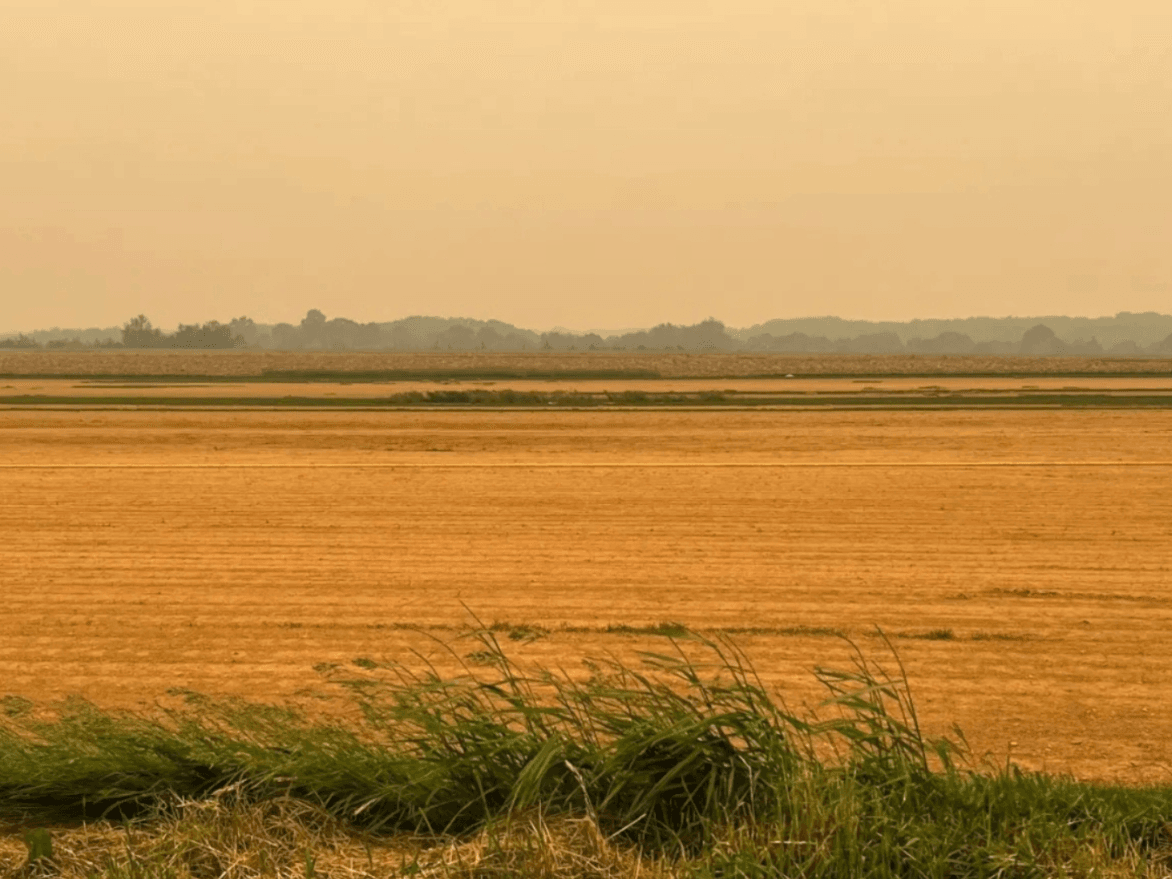 Air Quality Alert Issued For Long Island Again On Friday ...