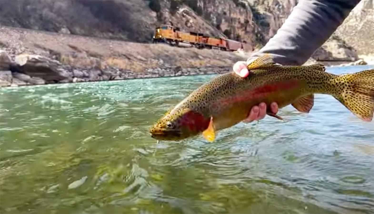"Float Fishing the Wind River Canyon" | MidCurrent
