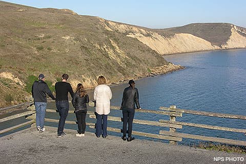 Wildlife Viewing - Point Reyes