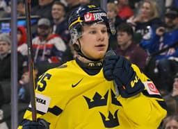 Red Wings Prospect Endures Frustrating Summer