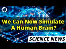 We Can Now Simulate a Human Brain, Scientists Show