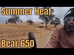 Royal Enfield Bear 650 It's been a long hot week  , cool change! Day 1 ride to Windeyer. DJI Neo 2