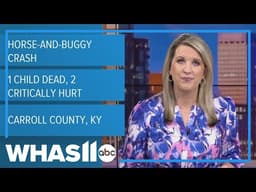1 child dead, 2 injured after horse-and-buggy crash in Carroll County