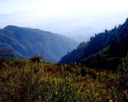 Keeping protected areas protected - Editorials