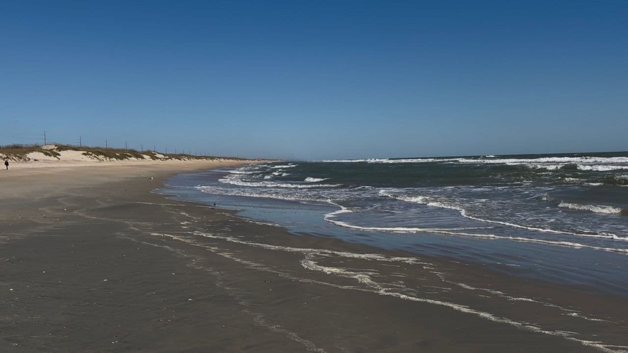 Outer Banks beach nourishment project stopped for endangered species deaths