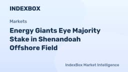 Shenandoah Field Stake Sale Attracts TotalEnergies, Shell, BP, Chevron - News and Statistics - IndexBox