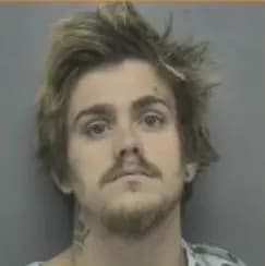 Terre Haute man gets four years in prison, followed by ...