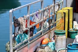 West Marine Closing Southwest Harbor Store