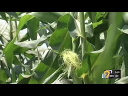 Year-round E15 legislation passes House, future uncertain in Senate