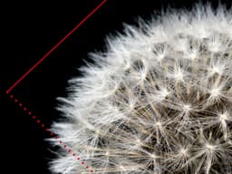 HSBC AM Investment Monthly -  A stress test for markets