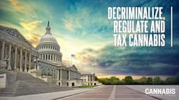 17 Senate Democrats File Bill to Federally Legalize ...
