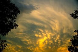 Exchanges On 1 Corinthians 3:10-15 & Purgatory | Dave Armstrong