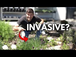 Keep These Crops From Taking Over Your Garden!