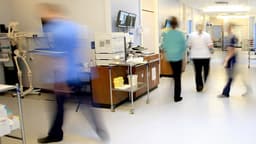 Palantir tool has not cut hospital discharge delays, study says