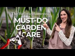 Stop Making These Garden Mistakes! 3 Garden Maintenance Tricks for BIGGER Harvests 🌱