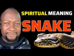 Spiritual Meaning of SNAKE In A DREAM