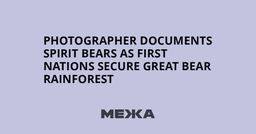 Photographer documents spirit bears as First Nations secure Great Bear Rainforest | Ukraine news - #Mezha