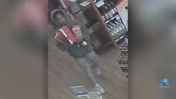 Police seek suspect in liquor theft in Chesapeake – WAVY.com