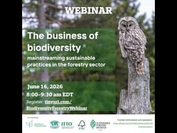 The business of biodiversity: mainstreaming sustainable practices in the forestry sector