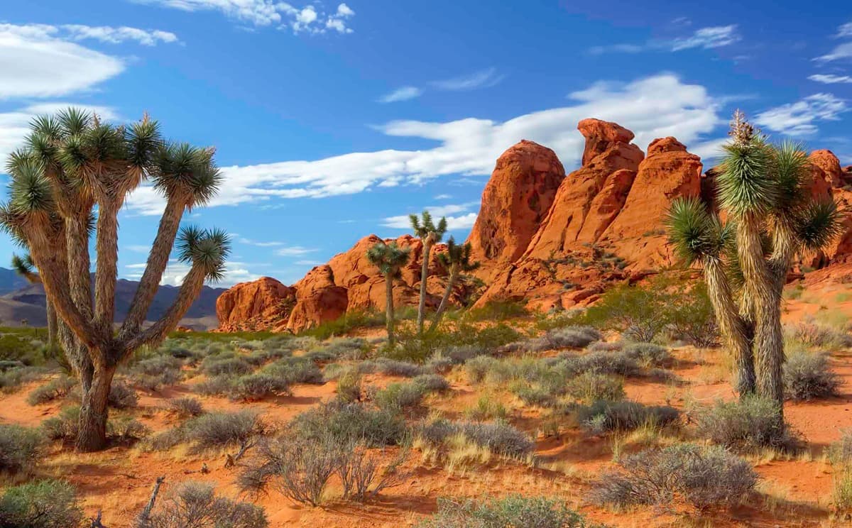 6 must-do October activities in Nevada