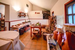 Inside Europe's only rebuilt Roman Villa