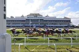 Sunday's HRN top 10 speed figures + fastest maiden winners