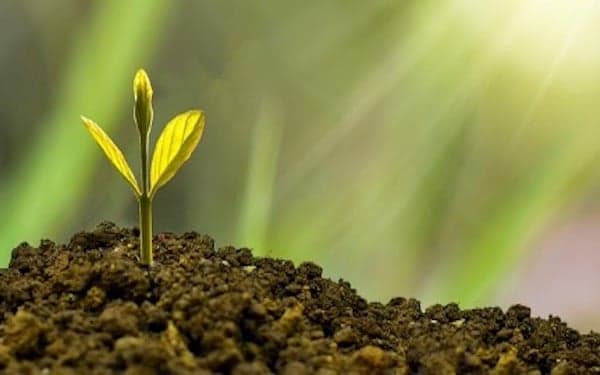 Record-Buying Signal Emerges? Goldman Sachs Says Systematic Investors May Return to U.S. Stocks | NAI 500