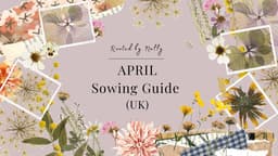 April Sowing Guide and Garden Jobs