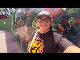 Animal Kingdom Updates + All the Vibes 🌿✨ What’s New at the Park?