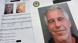 European law enforcement agencies investigating Epstein say DOJ has not helped: report