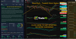 Could Trump Go Nixon? Why Radical Gas Price Controls Aren't Off the Table