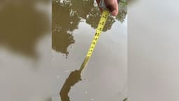 Heavy rain causes flooding across Connecticut communities