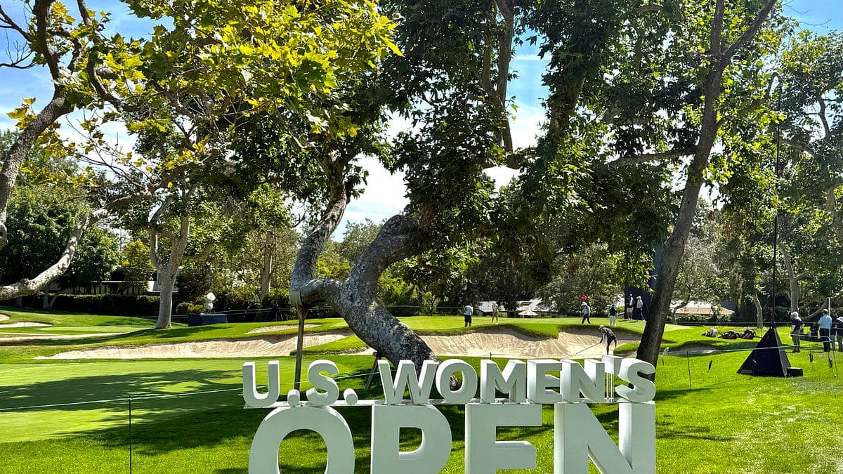 Major(s) News & Notes, June 4, 2026