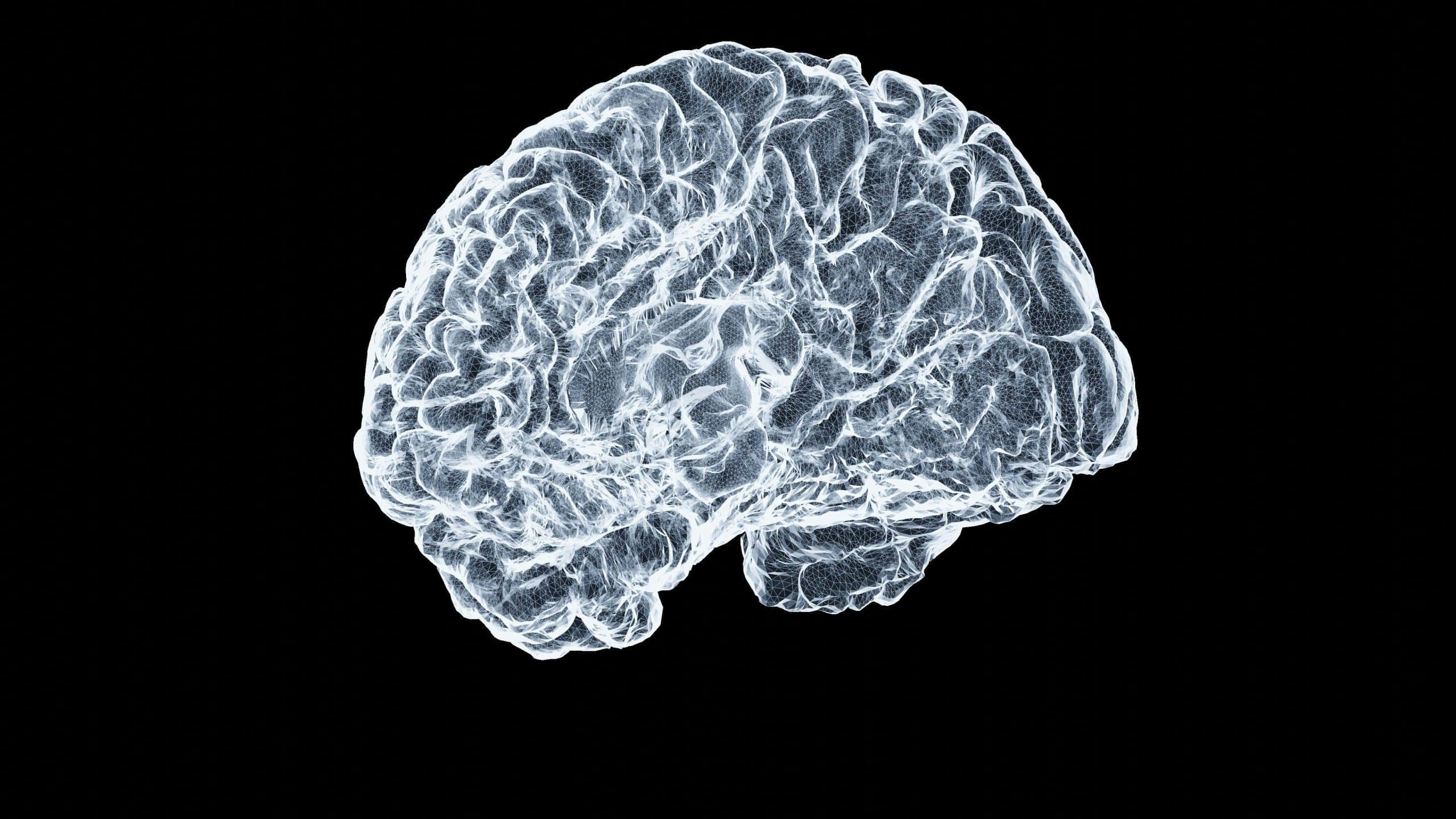 Alzheimer's Association brings $3 billion research victory ...