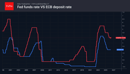 The euro is rising on interest rate expectations
