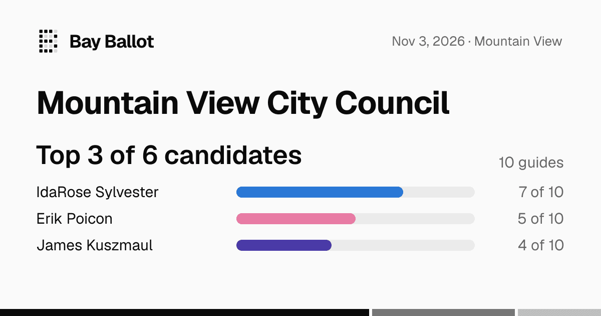 Mountain View City Council endorsements (Nov 2026)