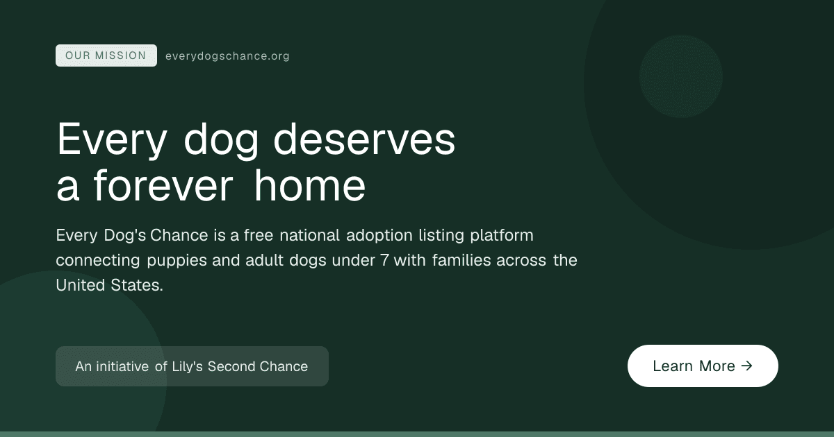 About Every Dog's Chance