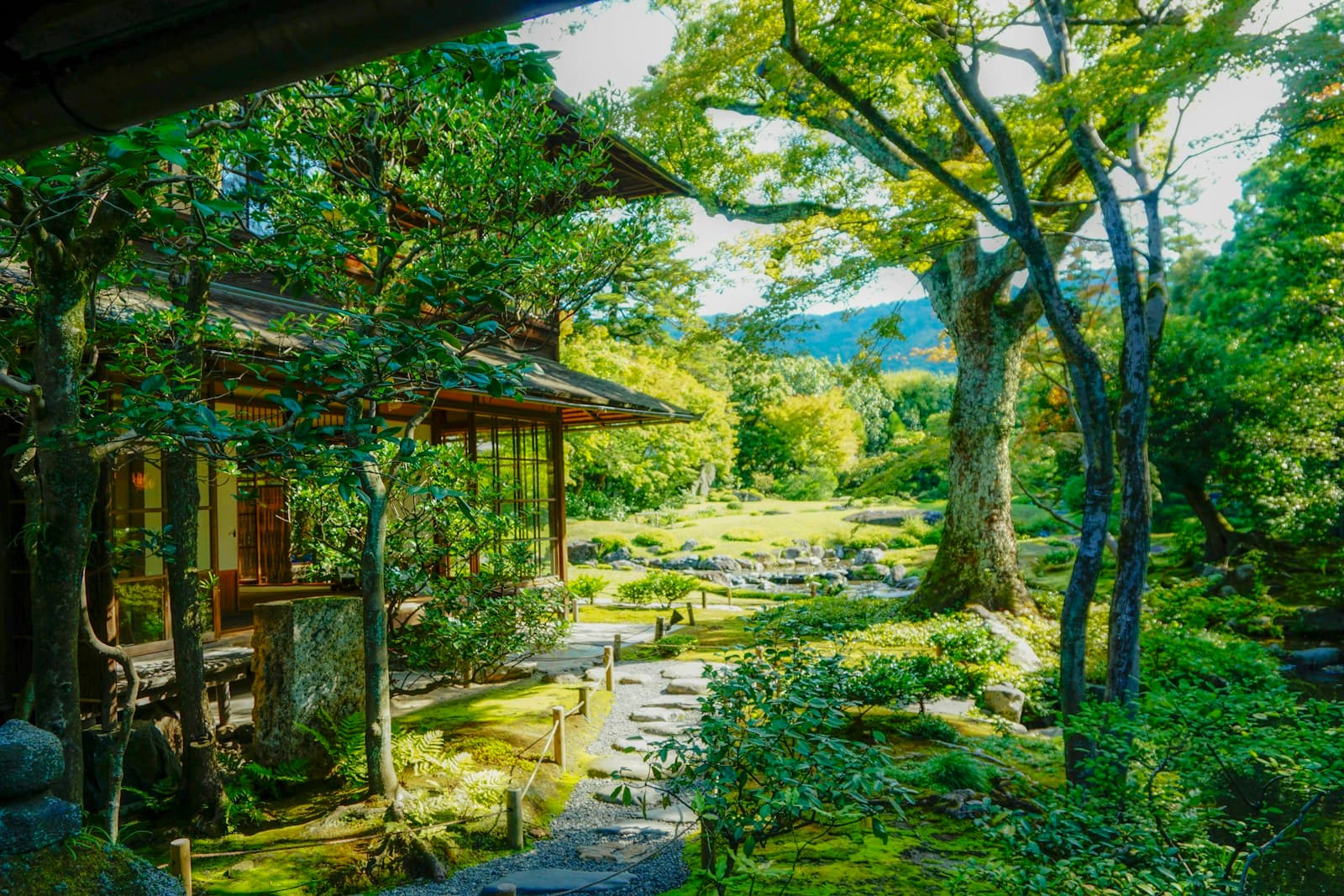 What Is a Roji? How the Japanese Tea Garden Prepares ...