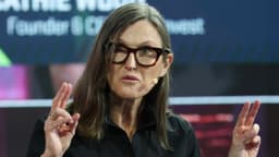 Cathie Wood invests a combined $28.7 million in ... - Moneywise