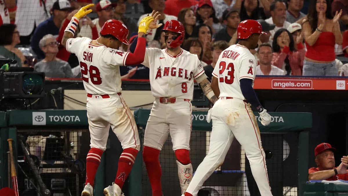 What Kind Of Rebuild Do Angels Fans Want Next Year?
