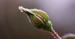 Before You Share Your Body, Ask: Do They Know You? | Psychology Today Australia